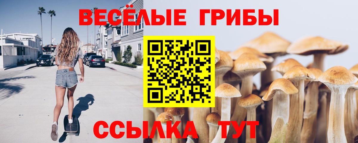 Псилоцибиновые грибы GOLDEN TEACHER Клинцы