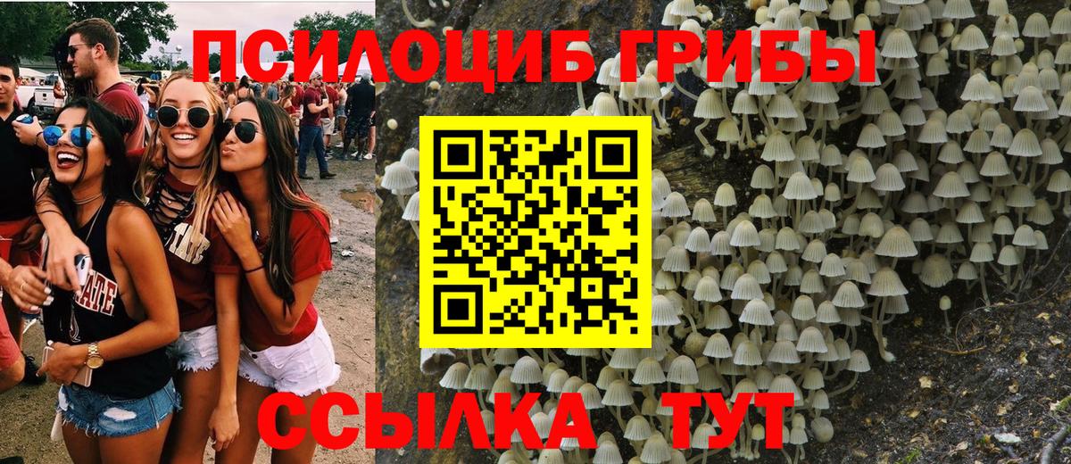 Клинцы  Псилоцибиновые грибы MAGIC MUSHROOMS  продажа наркотиков  Вход с VPN 